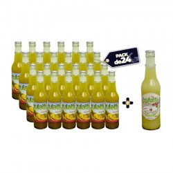 PACK DE 24 BOUTEILLES DE JUS NATUREL ANANAS + GINGEMBRE FRULATTI - 33CL