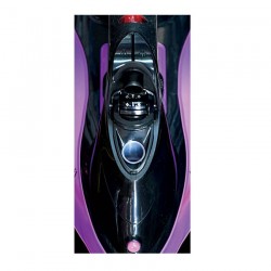 FER A REPASSER - SINGSUNG SI-87 S - 2200 W - 06 MOIS DE GARANTIE